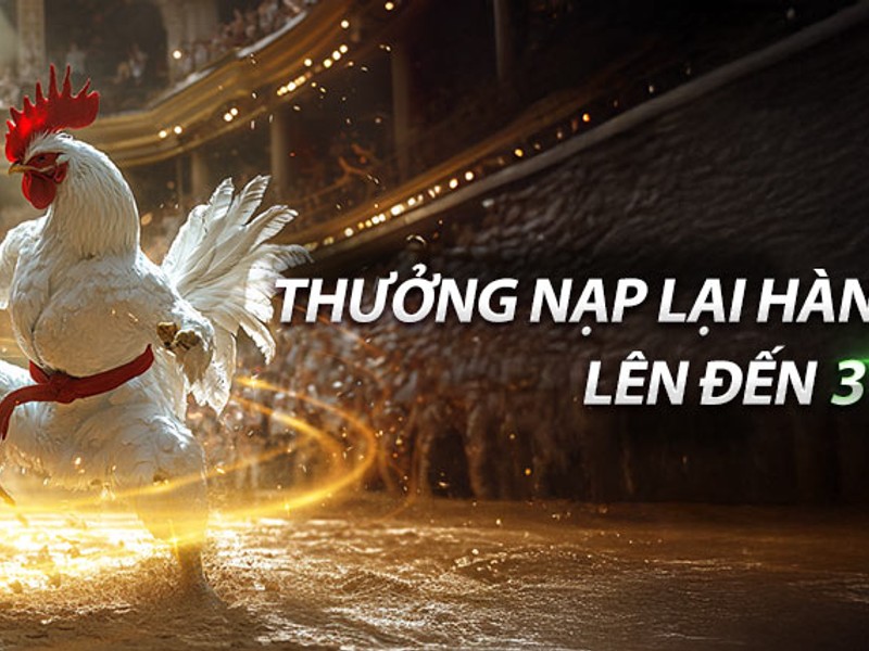 Hoàn trả hàng ngày cho các thành viên