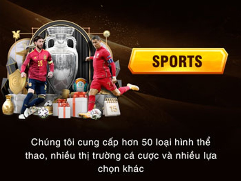 Cá cược thể thao với hình ảnh sân vận động và các môn thể thao phổ biến